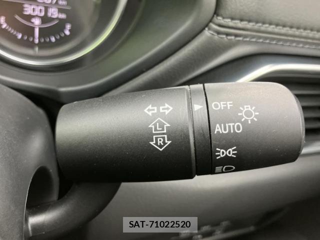 Mazda CX-8 2018-12 8220655-16