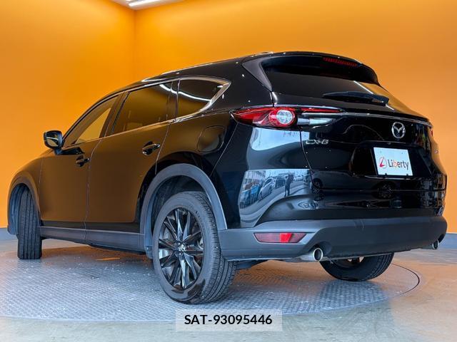 Mazda CX-8 2019-08 8221310-8