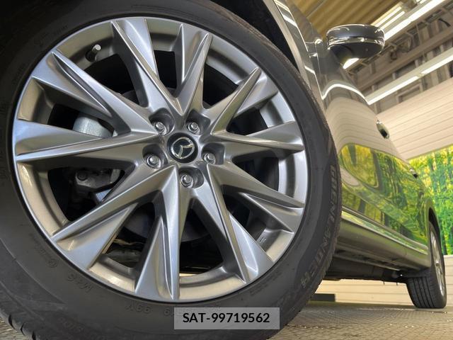 Mazda CX-8 2020-03 8221646-13