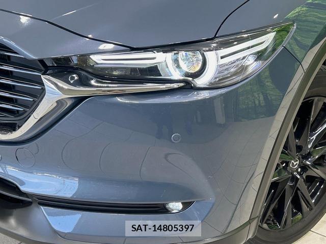 Mazda CX-8 2021-02 8224042-12