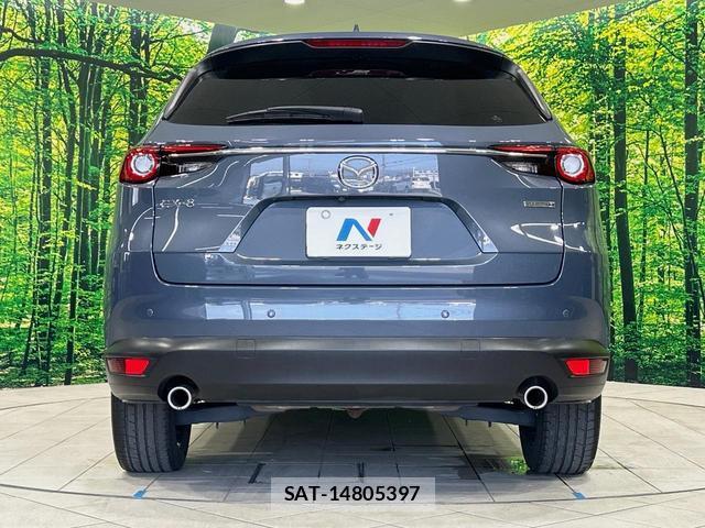 Mazda CX-8 2021-02 8224042-15