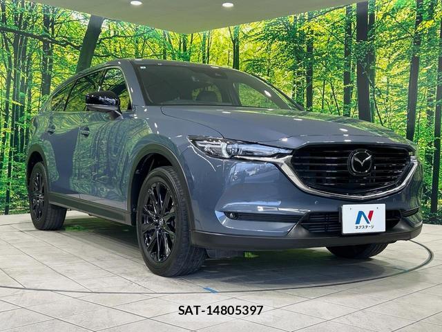 Mazda CX-8 2021-02 8224042-16
