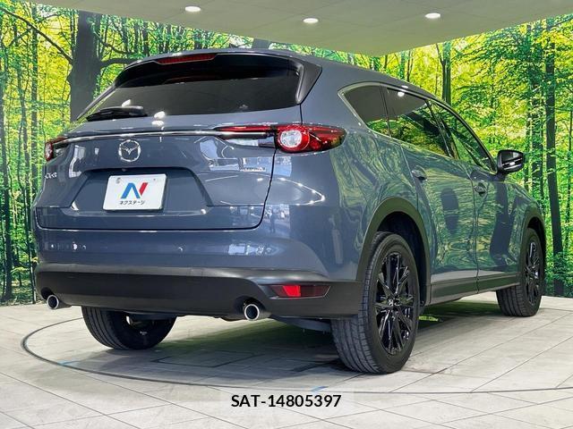 Mazda CX-8 2021-02 8224042-17