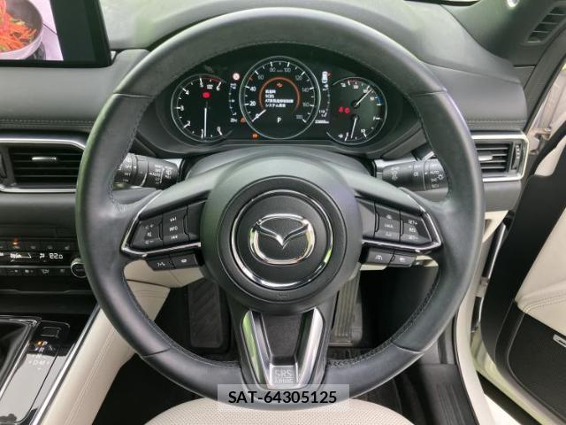Mazda CX-8 2023-03 8225298-14