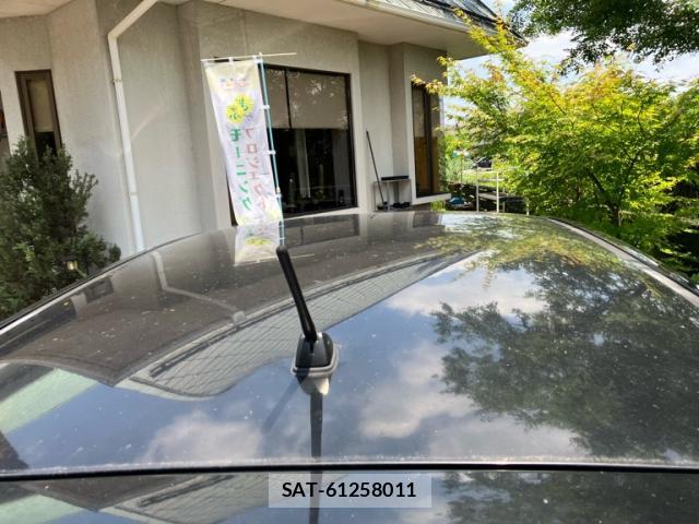 Nissan DUALIS 2012-12 8219854-5