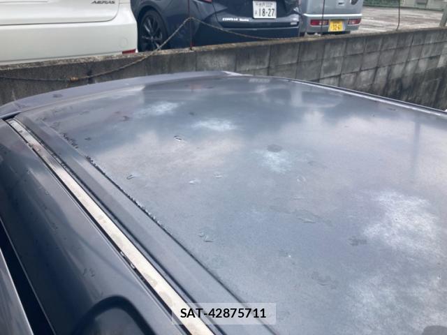Honda ELYSION 2006-08 8219783-16