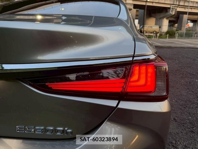 Lexus ES 2019-06 8223799-1
