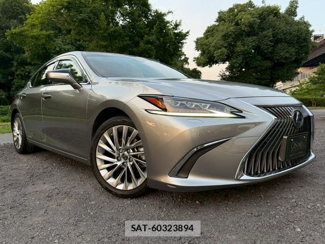 Lexus ES 2019-06 8223799-12
