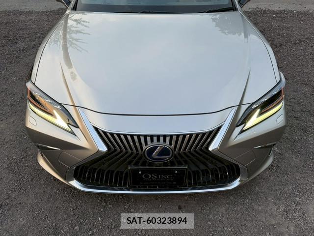 Lexus ES 2019-06 8223799-13