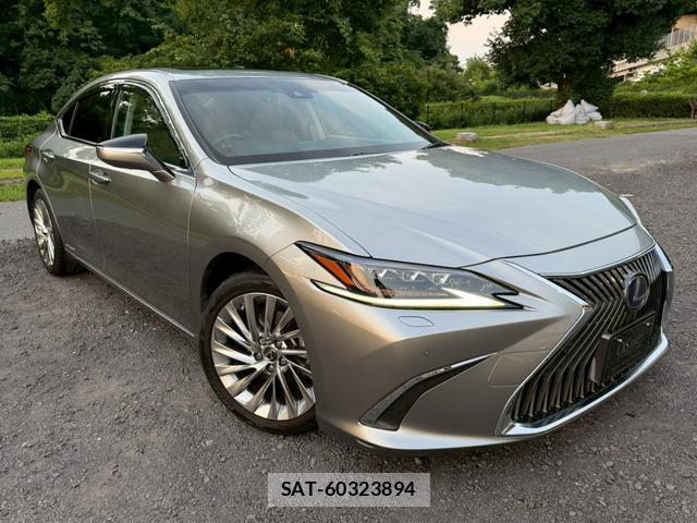 Lexus ES 2019-06 8223799-2