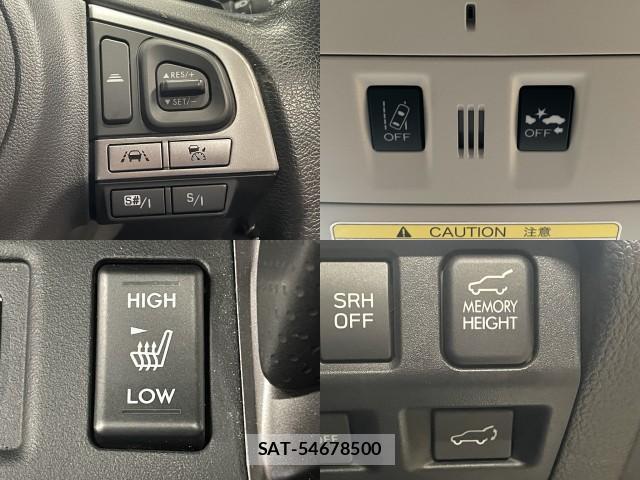 Subaru FORESTER 2016-06 8225591-5