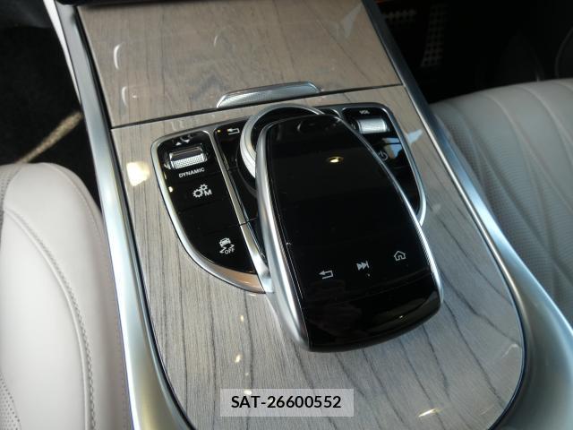 Mercedes Benz G-CLASS 2021-03 8219206-12