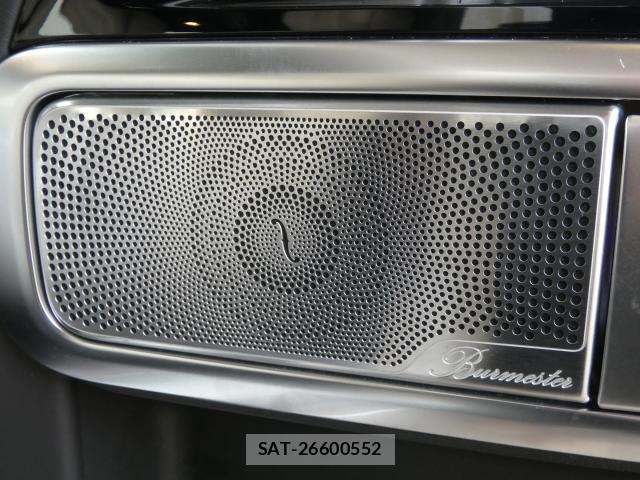 Mercedes Benz G-CLASS 2021-03 8219206-13