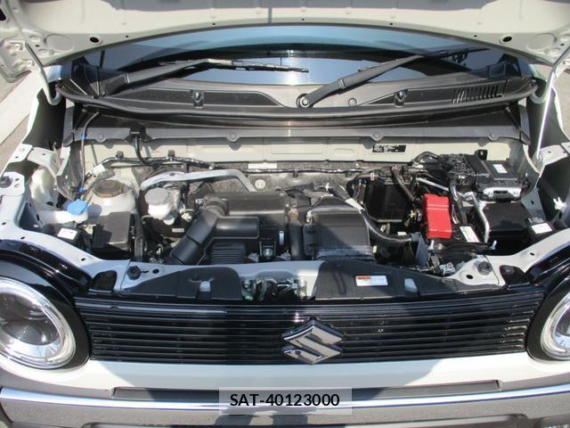 Suzuki HUSTLER 2024-06 8224619-19