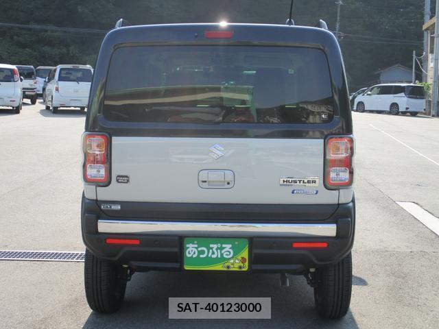 Suzuki HUSTLER 2024-06 8224619-2