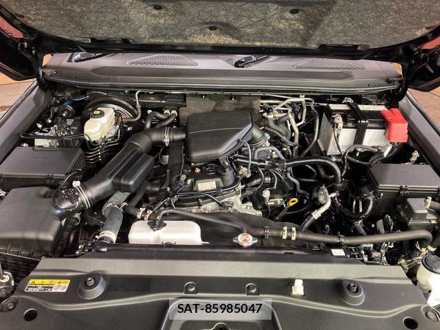 Toyota Land Cruiser 250 2024-11 8217307-17