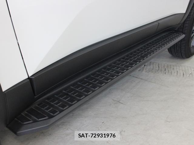 Toyota Land Cruiser 250 2025-03 8220636-19