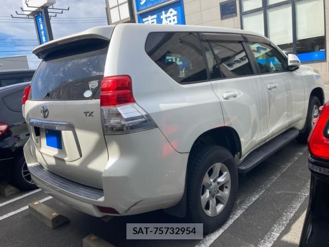 Toyota LAND CRUISER PRADO 2010-12 8219563-2