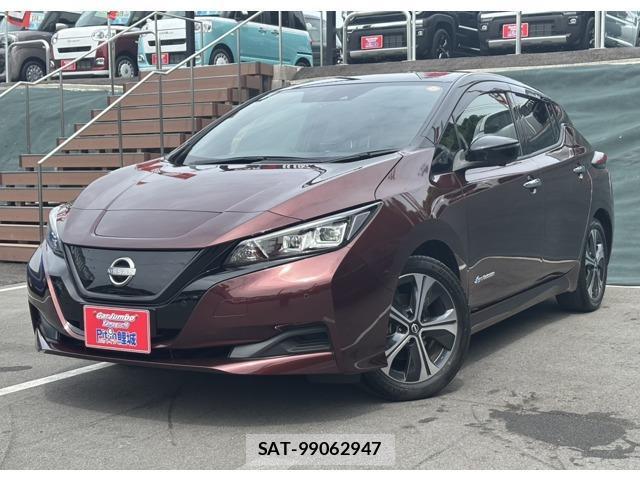 Nissan LEAF 2022-01 8216579-0