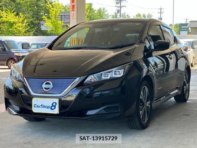 Nissan LEAF 2018-11 8224111-4