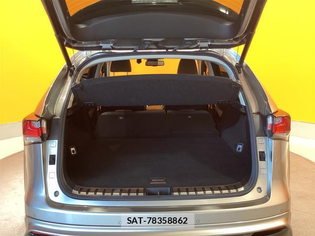 Lexus NX 2015-03 8216209-13