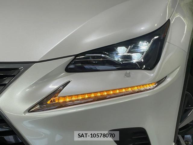 Lexus NX 2020-05 8218536-14