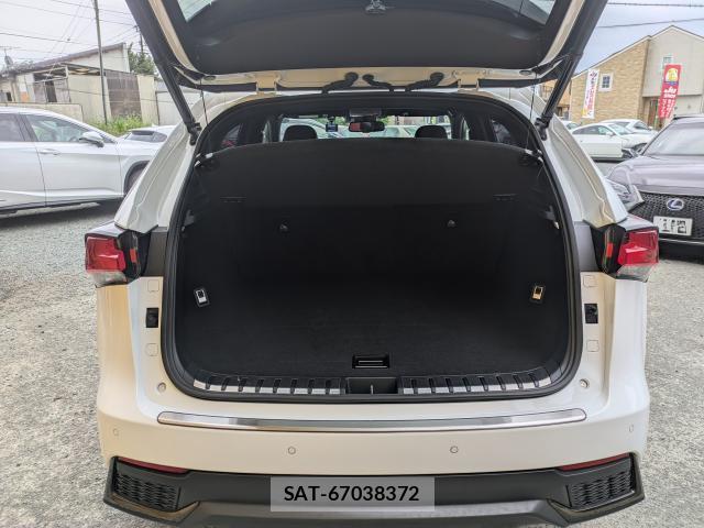 Lexus NX 2019-01 8219267-17