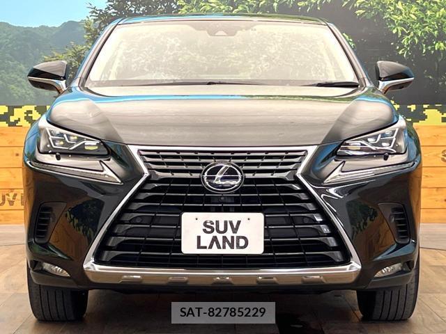 Lexus NX 2021-06 8220355-13