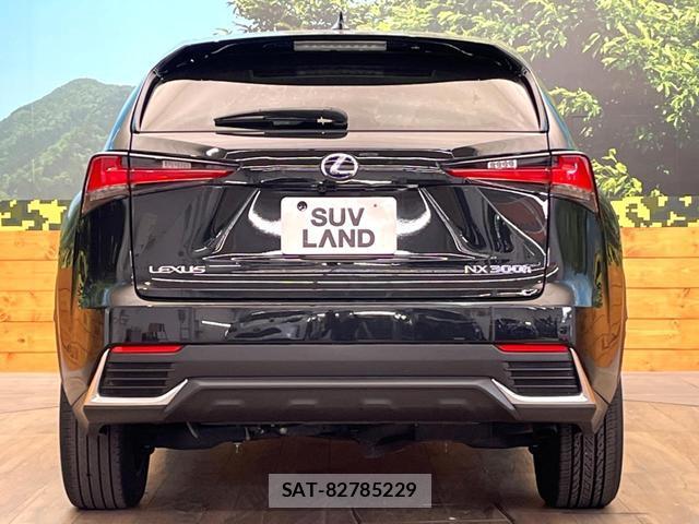 Lexus NX 2021-06 8220355-14