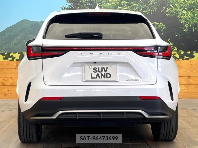 Lexus NX 2024-01 8220376-14