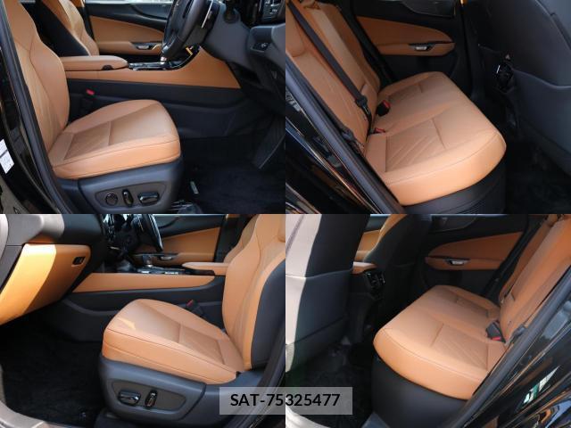 Lexus NX 2023-08 8221206-2