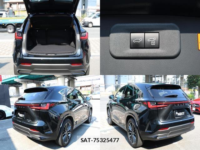 Lexus NX 2023-08 8221206-7