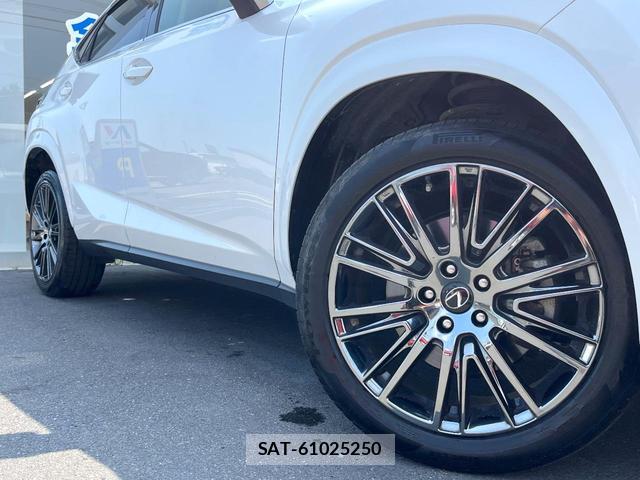 Lexus NX 2015-12 8221594-12