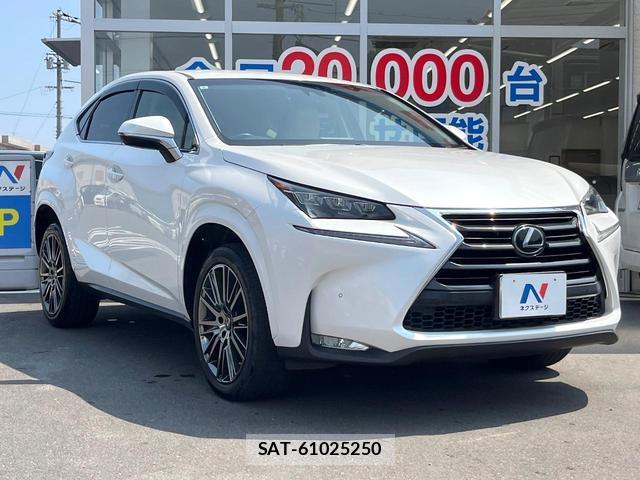 Lexus NX 2015-12 8221594-15