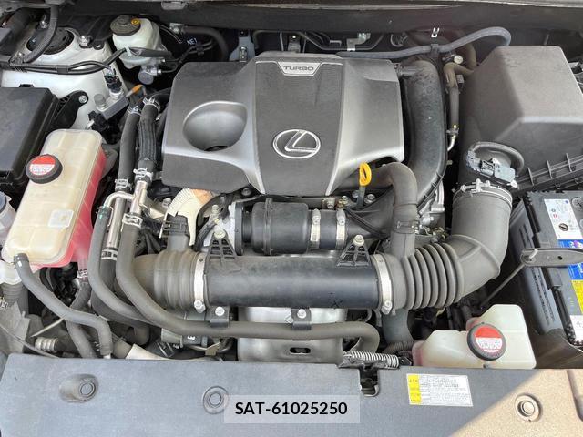 Lexus NX 2015-12 8221594-17