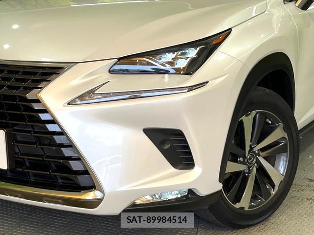 Lexus NX 2019-07 8222029-12