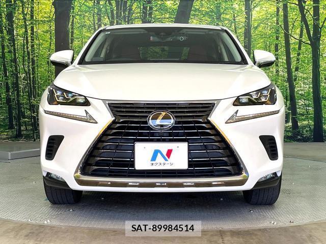 Lexus NX 2019-07 8222029-13