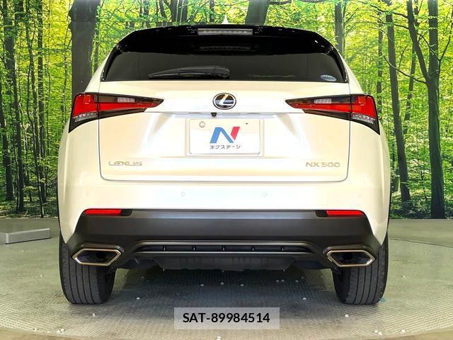 Lexus NX 2019-07 8222029-14