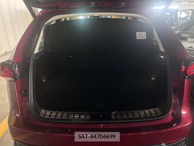Lexus NX 2020-01 8223659-16
