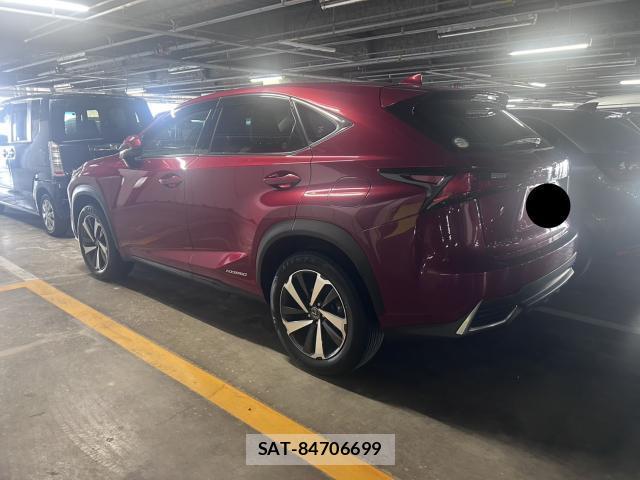 Lexus NX 2020-01 8223659-7