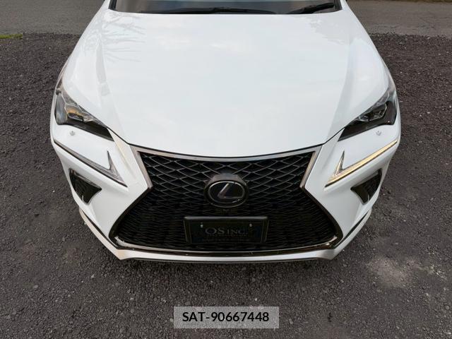 Lexus NX 2018-08 8223796-3