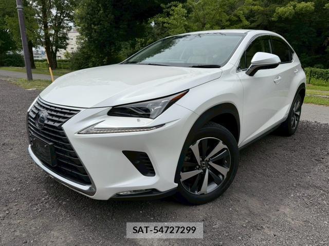 Lexus NX 2019-03 8223797-0