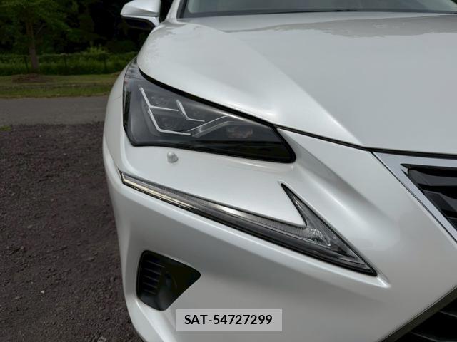 Lexus NX 2019-03 8223797-11