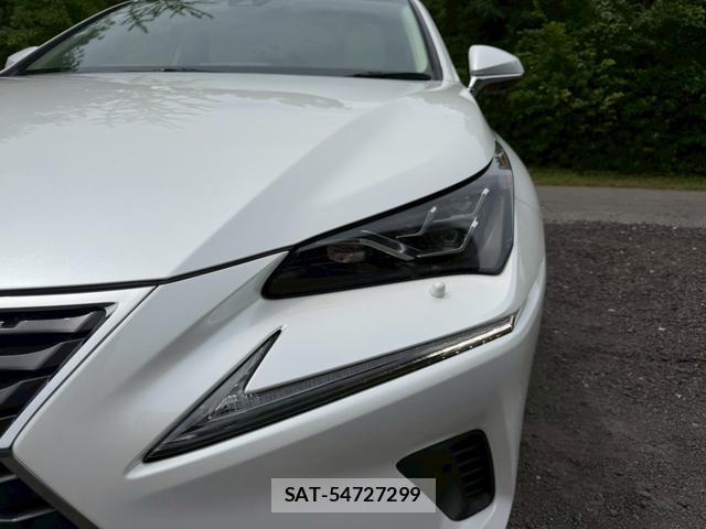 Lexus NX 2019-03 8223797-3