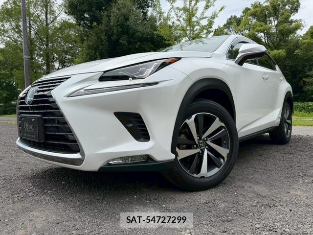 Lexus NX 2019-03 8223797-7