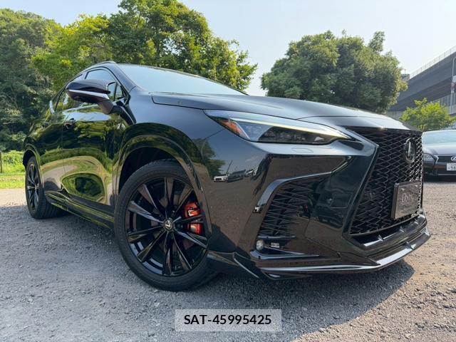Lexus NX 2023-06 8223803-14