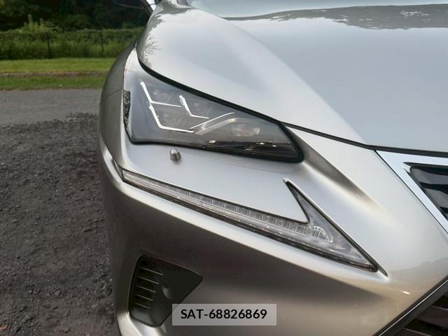 Lexus NX 2019-01 8223806-12