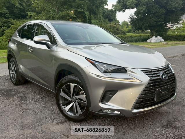 Lexus NX 2019-01 8223806-13