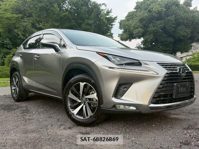 Lexus NX 2019-01 8223806-14