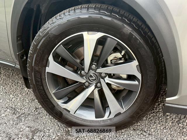 Lexus NX 2019-01 8223806-15
